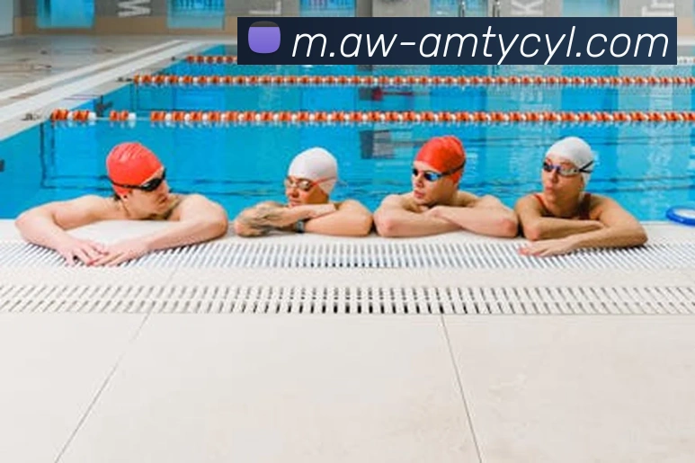 App Interface Preview